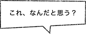 これ、なんだと思う？